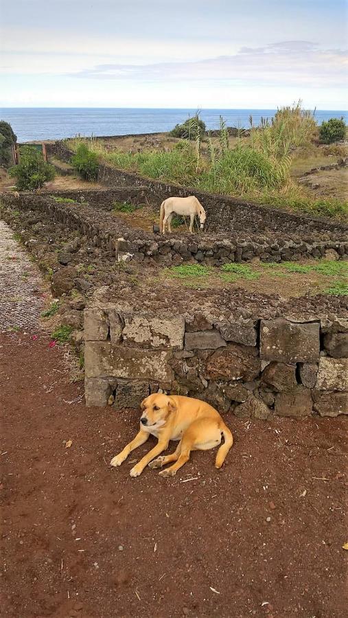 Quinta da Falesia - Casa Branca Ponta Delgada - Açores Exterior foto