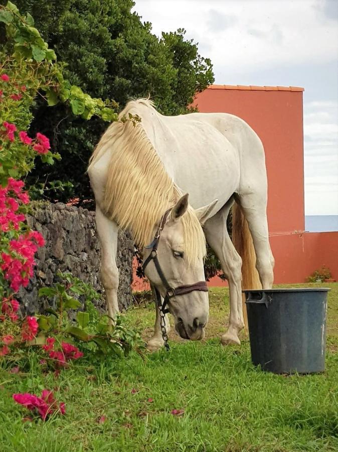 Quinta da Falesia - Casa Branca Ponta Delgada - Açores Exterior foto